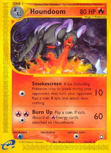 Houndoom 14/147
