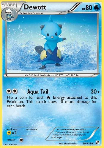 Dewott 30/114