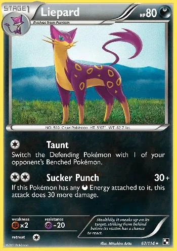 Liepard 67/114