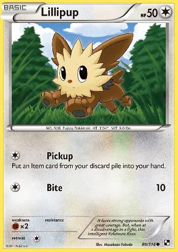 Lillipup 80/114