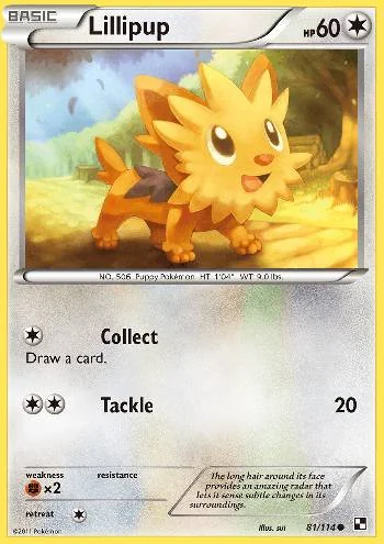 Lillipup 81/114