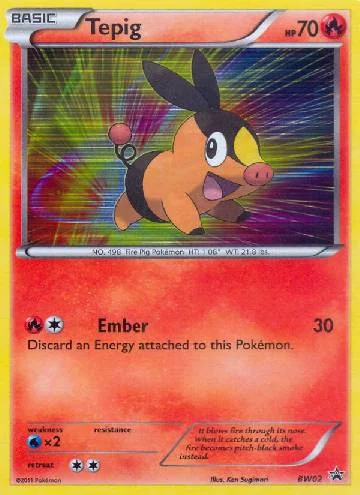 Tepig BW02/99