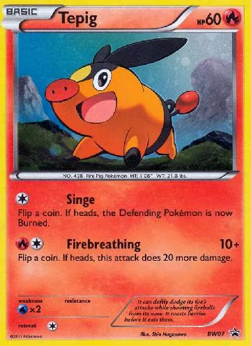 Tepig BW07/99