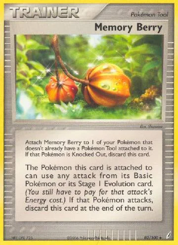 Memory Berry 80/100