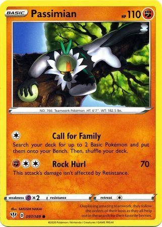 Passimian 97/189