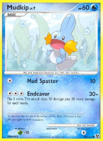 Mudkip 80/106