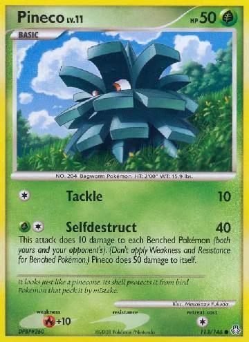 Pineco 113/146