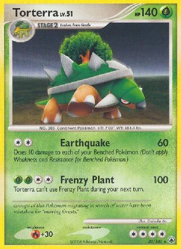 Torterra 30/100