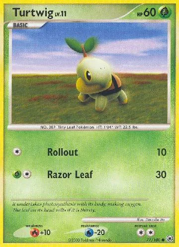 Turtwig 77/100