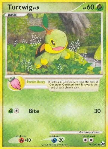Turtwig 78/100