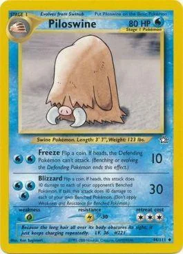 Piloswine 44/111