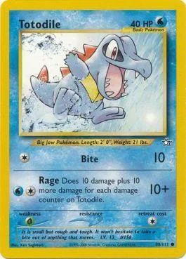 Totodile 80/111