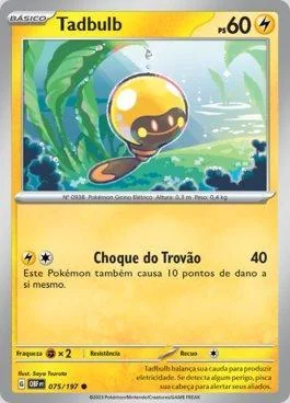 Tadbulb 075/197