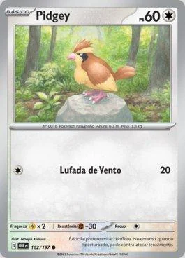 Pidgey 162/197