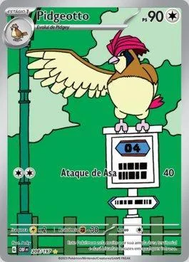 Pidgeotto 208/197