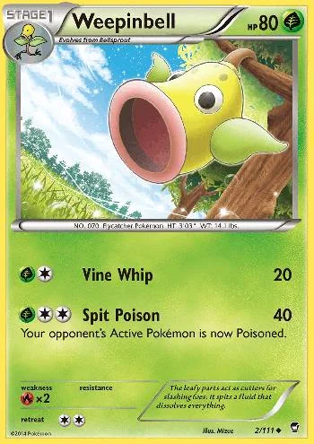 Weepinbell 2/111