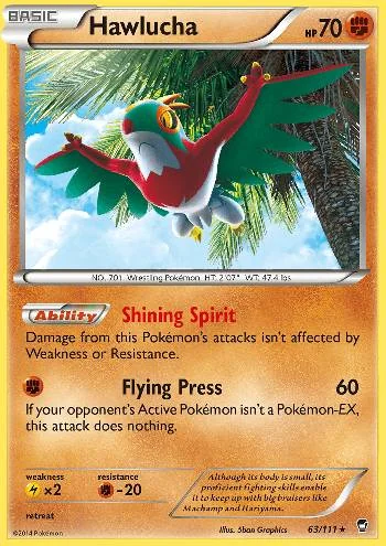 Hawlucha 63/111