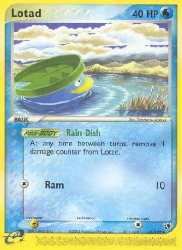 Lotad 66/100