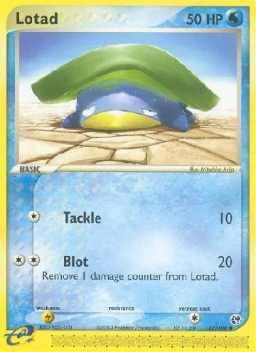 Lotad 67/100