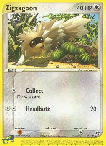 Zigzagoon 85/100