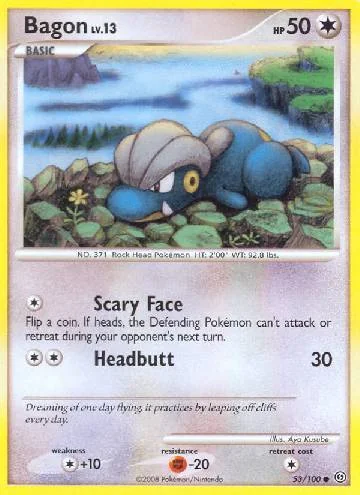 Bagon 53/100