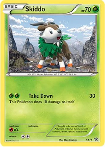 Skiddo XY11/∞