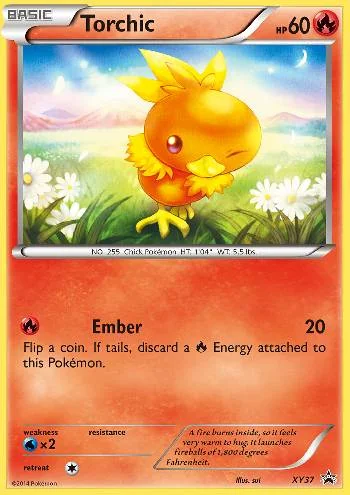 Torchic XY37/∞
