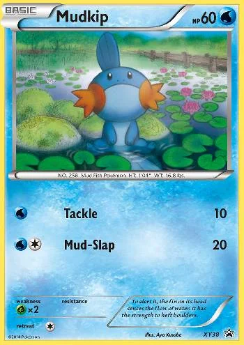 Mudkip XY38/∞