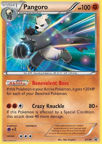 Pangoro XY50/∞
