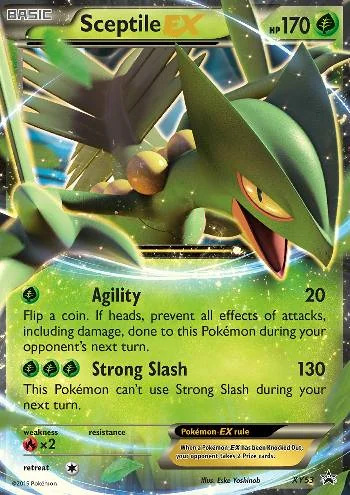 Sceptile-EX XY53/∞