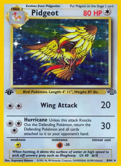 Pidgeot - Selva - ilustração de Kagemaru Himeno