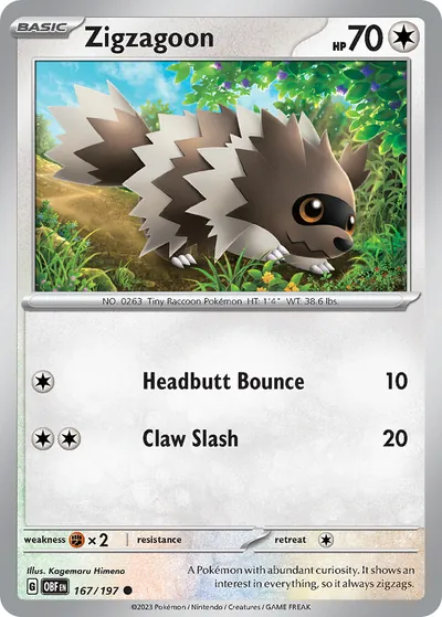 Zigzagoon - Obsidiana em Chamas - ilustração de Kagemaru Himeno