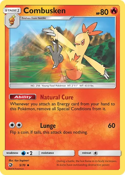 Combusken - Dragões Soberanos - ilustração de Ken Sugimori