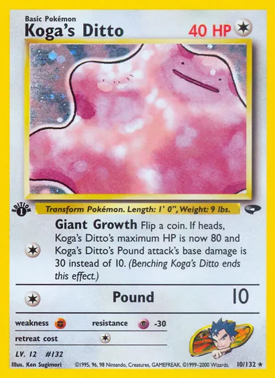 Ditto do Koga - Gym Challenge - ilustração de Ken Sugimori