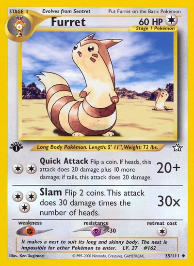 Furret - Neo Genesis - ilustração de Ken Sugimori