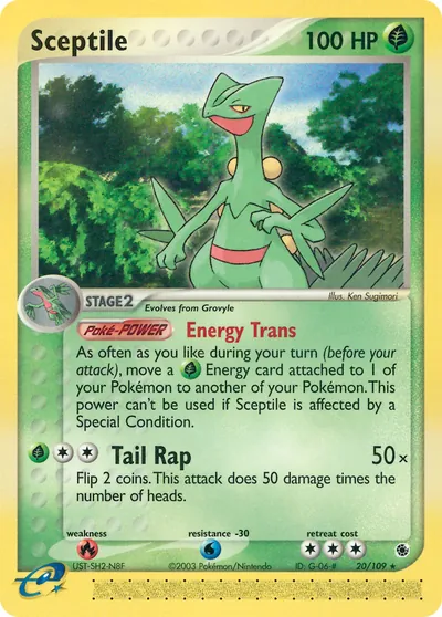 Sceptile - Rubi & Safira - ilustração de Ken Sugimori