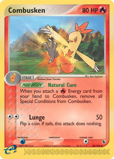 Combusken - Rubi & Safira - ilustração de Ken Sugimori