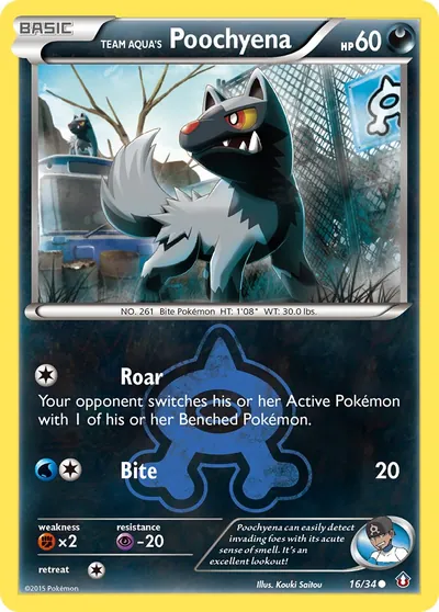 Poochyena da Equipe Aqua - Crise Dupla - ilustração de Kouki Saitou