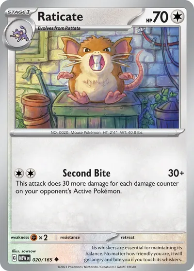 Raticate - 151 - ilustração de sowsow