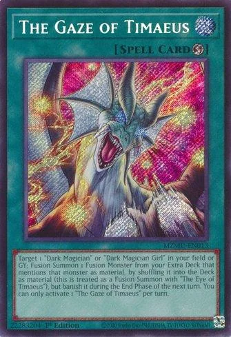 The Gaze of Timaeus 