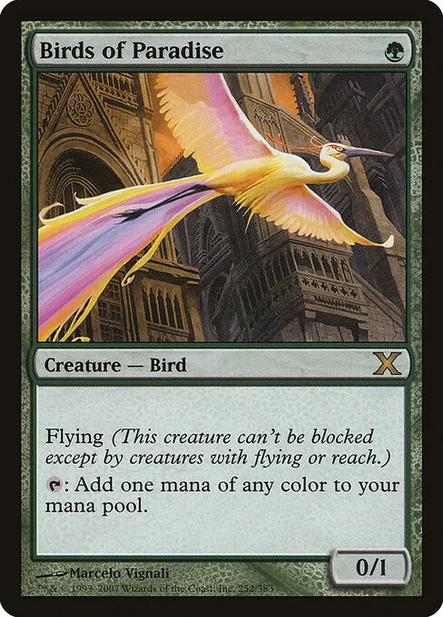 Birds of Paradise 252/383