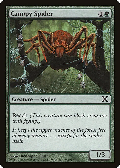 Canopy Spider 254/383