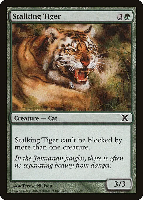Stalking Tiger 299/383