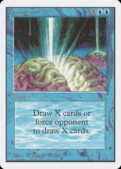 Braingeyser 051/317