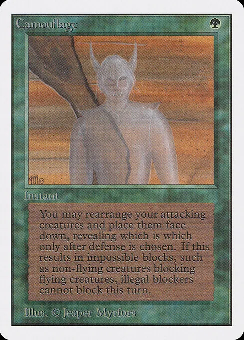 Camouflage 188/317