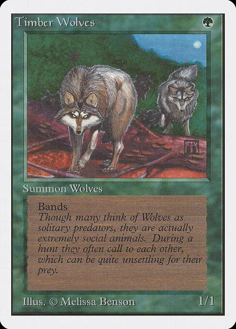 Timber Wolves 220/317