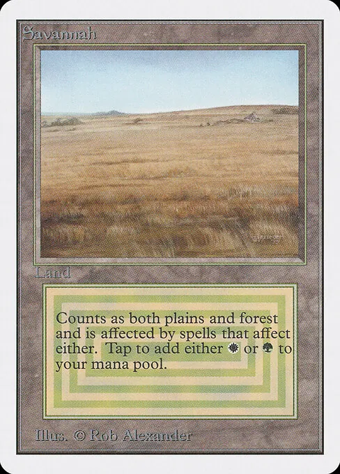 Savannah 281/317