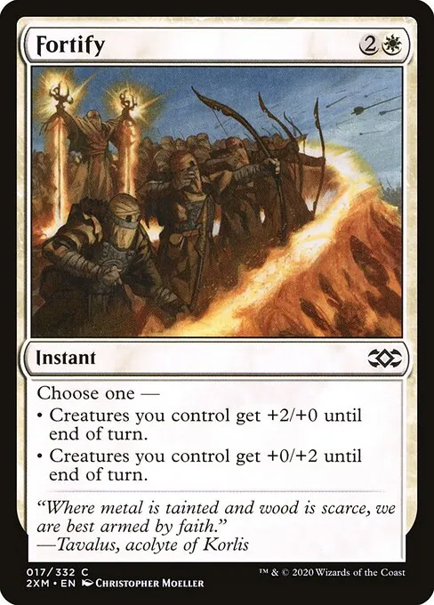 Fortify 017/332