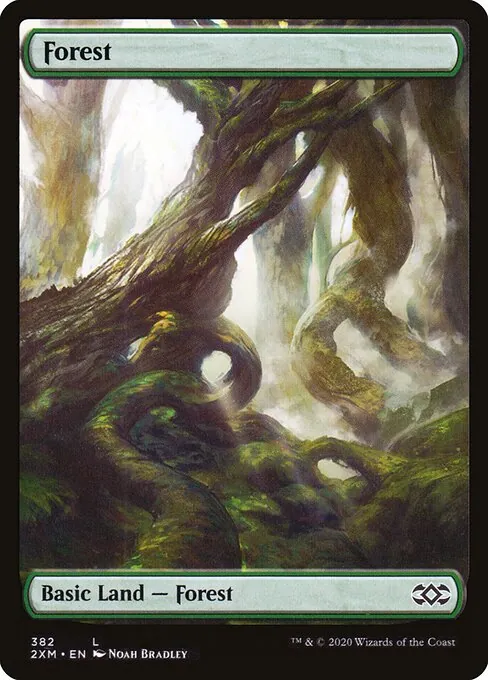 Forest 382/332
