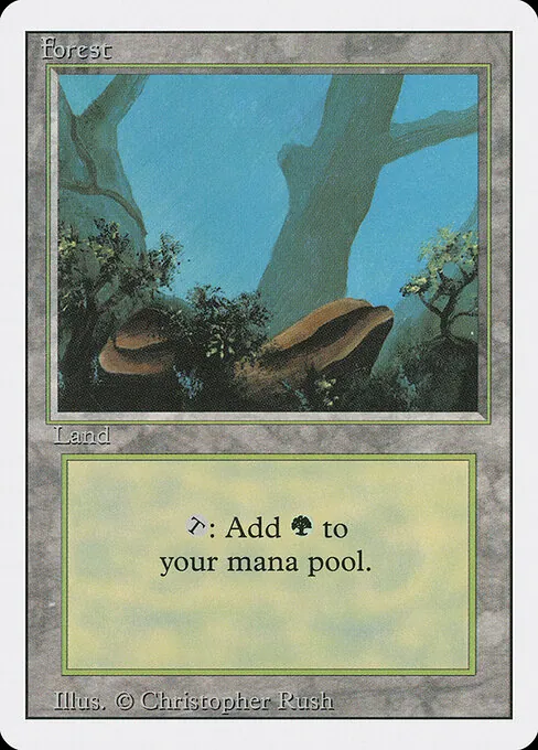 Forest 304/321